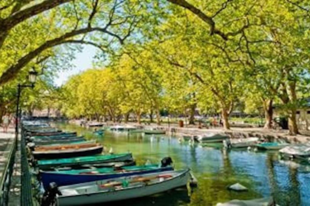 Appart Cosy Annecy Parking Et Velos Gratuit Bagian luar foto